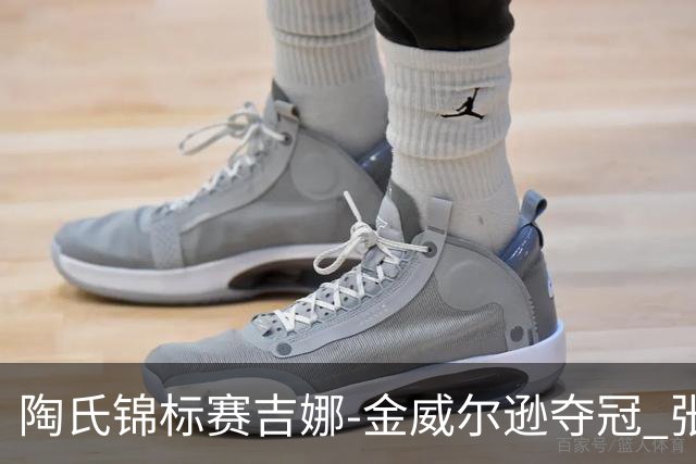 陶氏锦标赛吉娜-金/威尔逊夺冠 张维维/张雅惠T12
